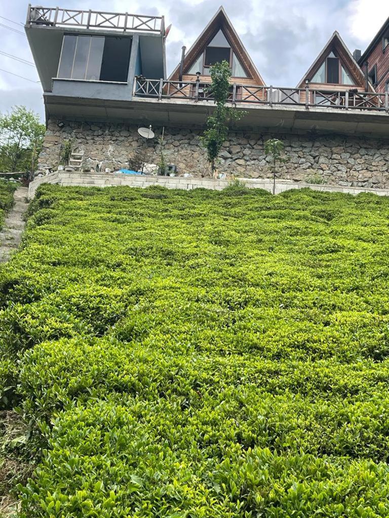 Purkinora Bungalov Çamlıhemşin Exterior foto